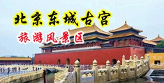 午夜视频免费观看黑丝。中国北京-东城古宫旅游风景区